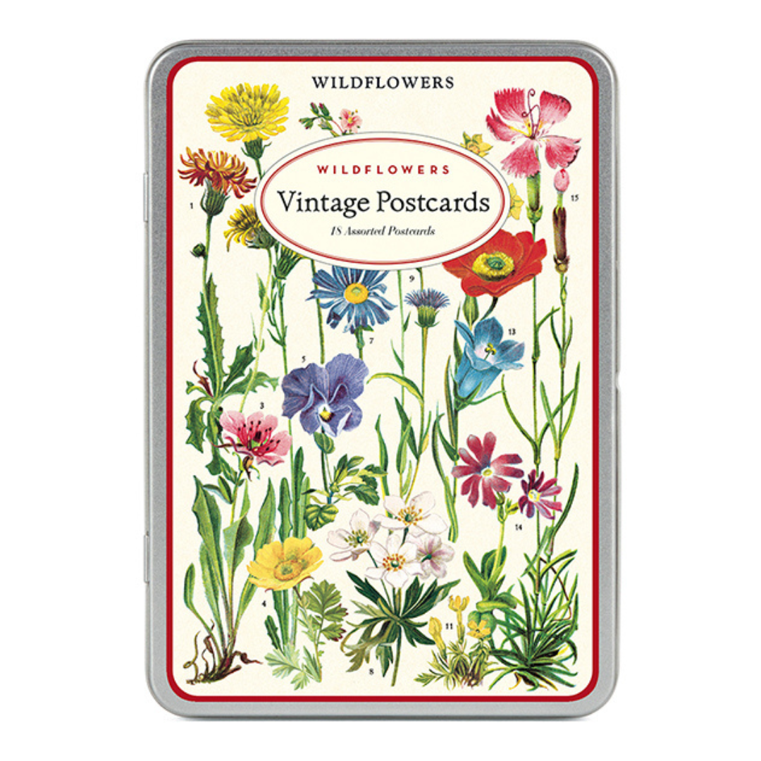 Cavallini & Co. Wildflower 2 Postcards