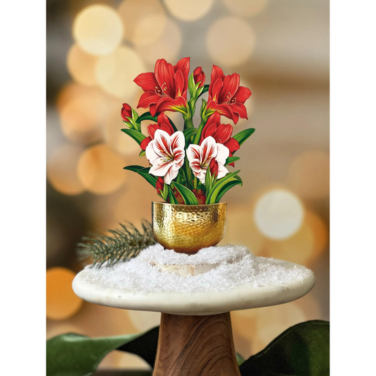 Holiday bouquet mini pop-up card filled with scarlet amaryllises and bright green stems, all in a golden base sitting on top of a snow covered tabletop.