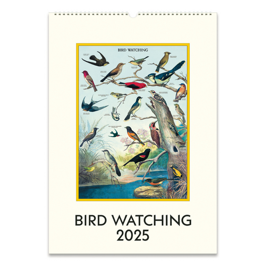 Cavallini & Co. 2025 Wall Calendar - Bird Watching