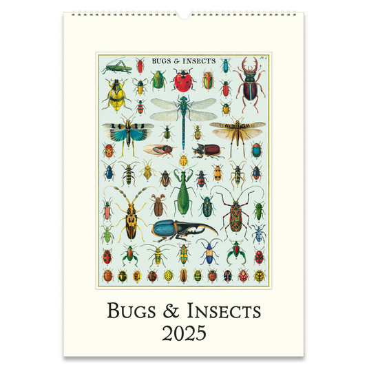 Cavallini & Co. 2025 Wall Calendar - Bugs & Insects