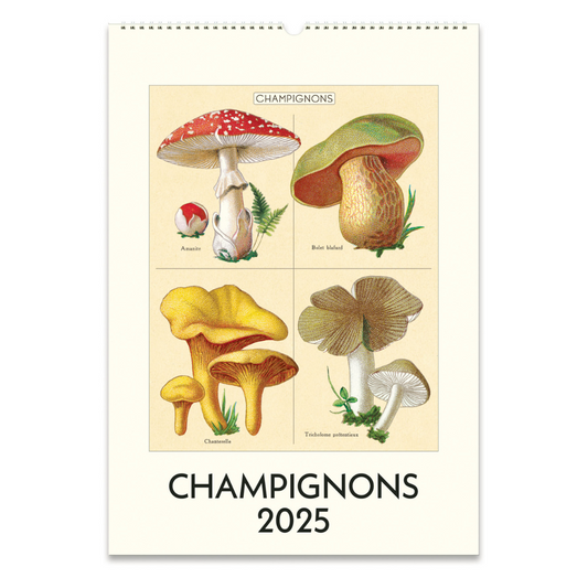 Cavallini & Co. 2025 Wall Calendar - Champignons