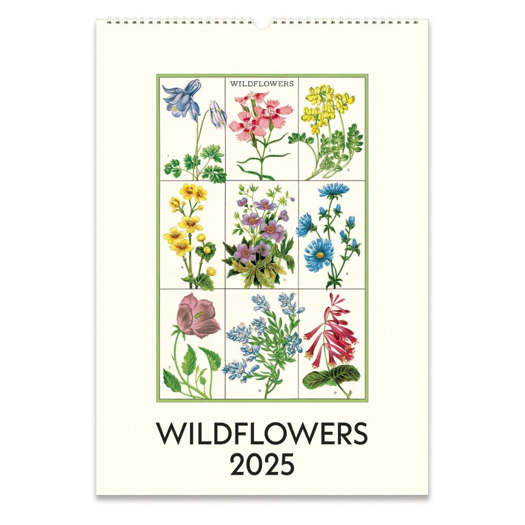 Cavallini & Co. 2025 Wall Calendar - Wildflowers