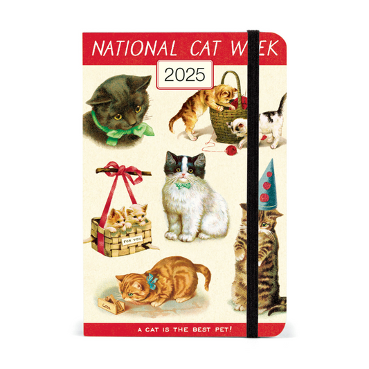 Cavallini & Co. 2025 Weekly Planner - Cats