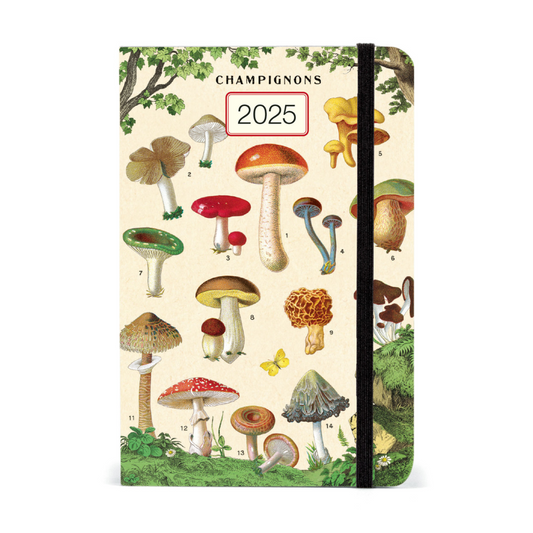 Cavallini & Co. 2025 Weekly Planner - Mushrooms