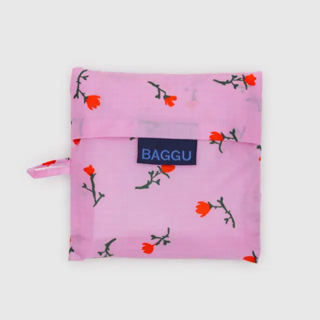 Bag in its pouch