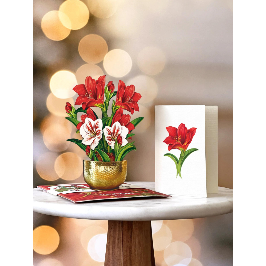 Holiday bouquet mini pop-up card filled with scarlet amaryllises and bright green stems, all in a golden base, next to a white greeting card with a scarlet amaryllis on the front, sitting on top of a marbled tabletop.