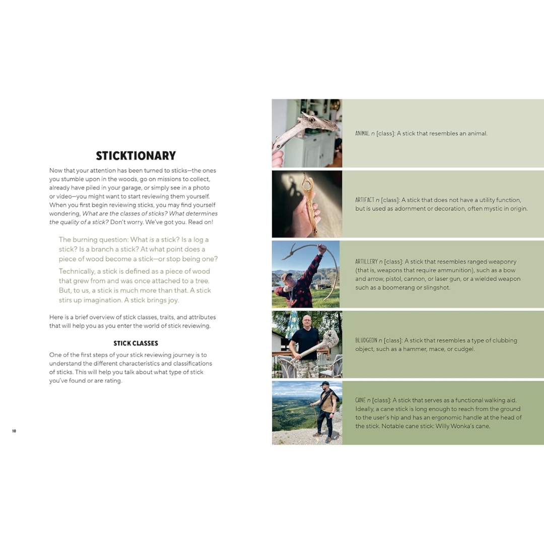 Page from the book "Sticks" showing the "Sticktionary" and the different types of sticks people find and collect