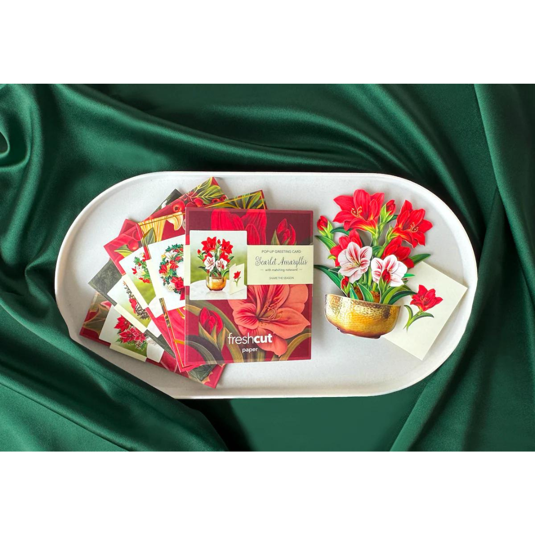 Five red, holiday themed greeting cards laid out across white tray, on top of emerald green satin.