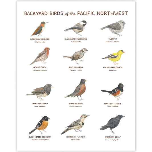 Backyard Birds of the Pacific Northwest 11"x14" Art Print