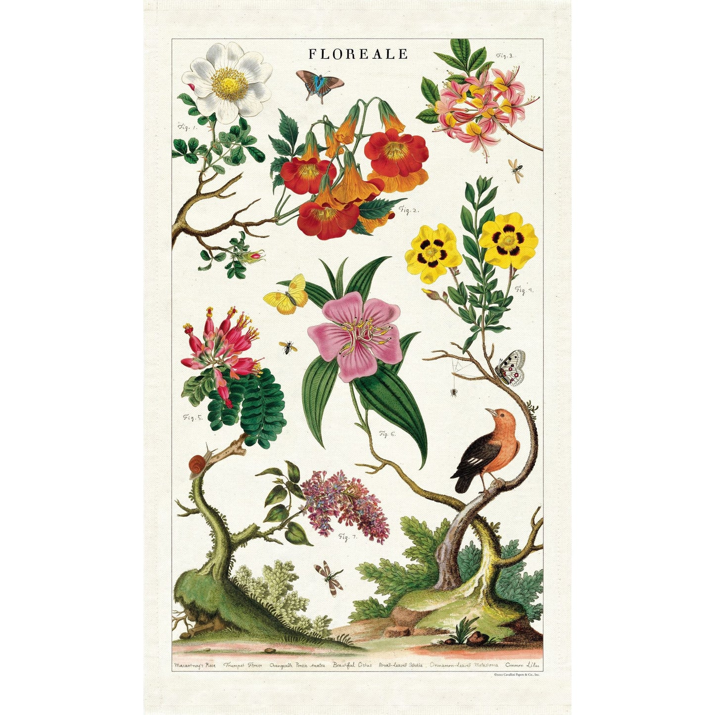 Cavallini & Co. Tea Towel - Floreale