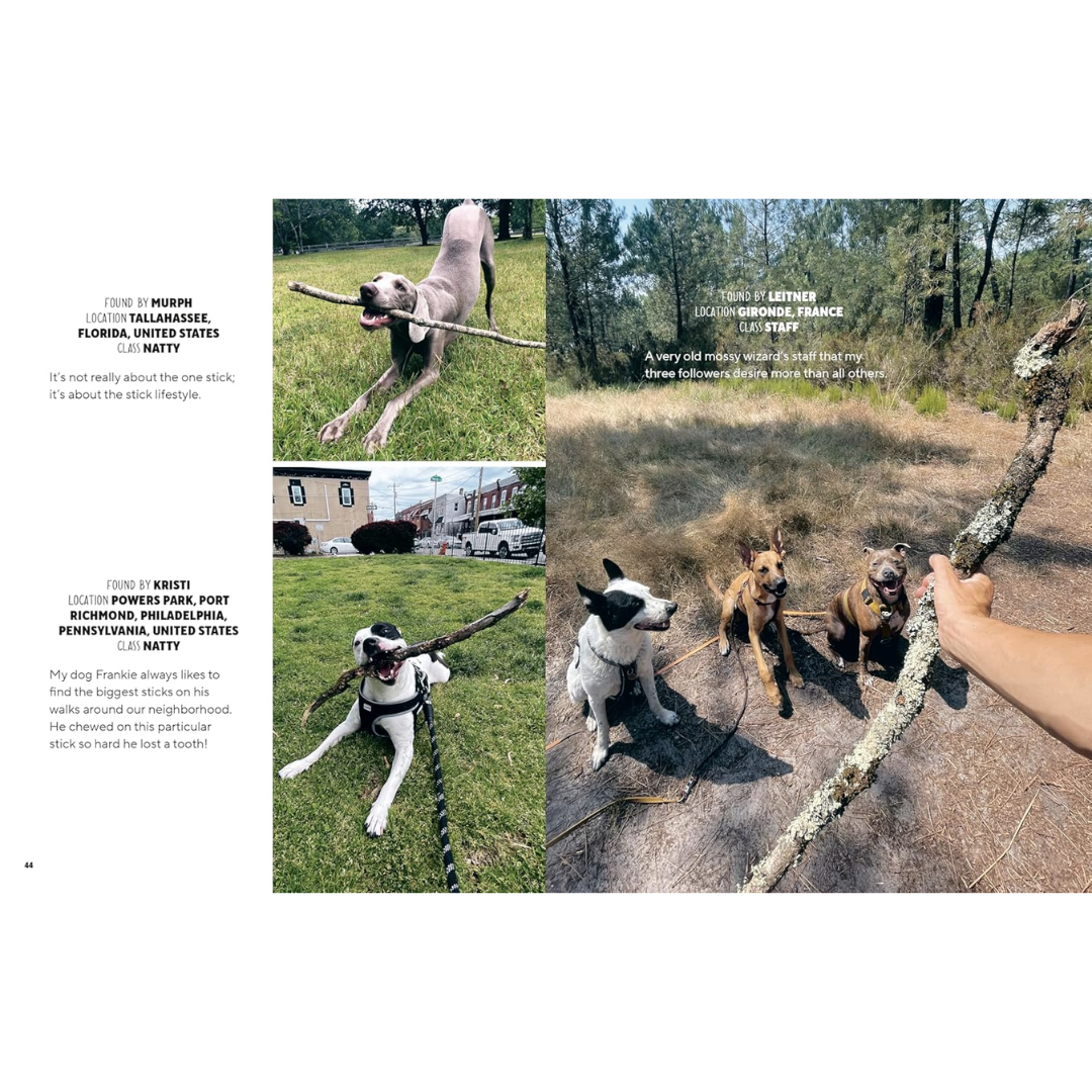 Sample page from "Sticks" shows dogs with their sticks