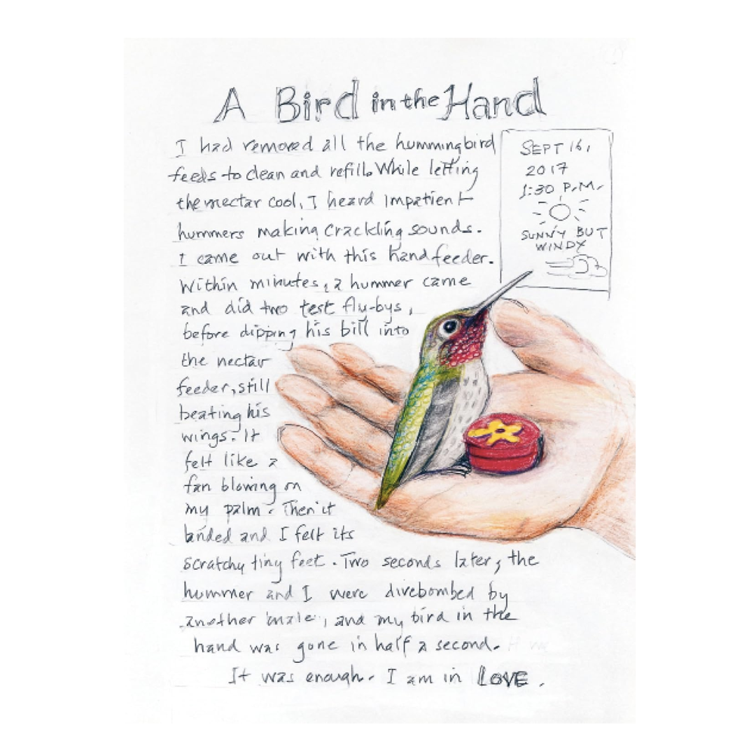 Illustration of a hand holding a hummingbird with text about a bird in the hand experience.
