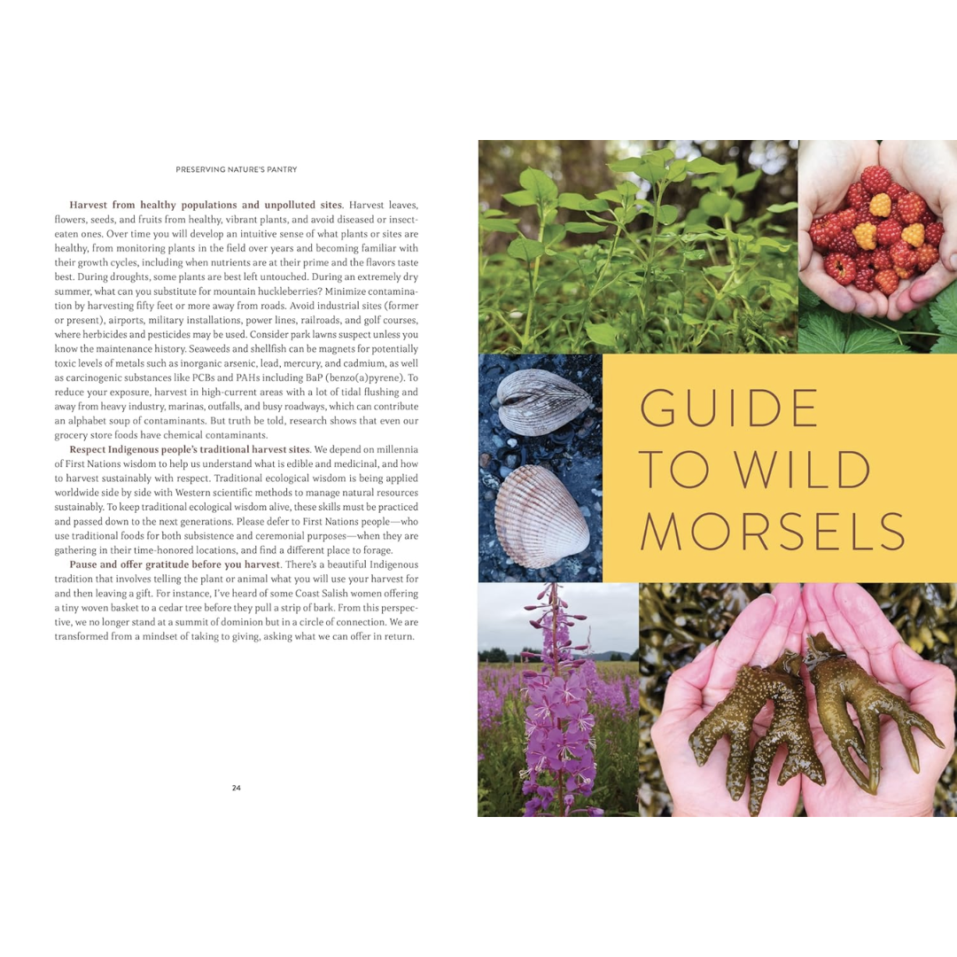 Sample page features a "Guide to wild morsels" with images of various wild edibles.