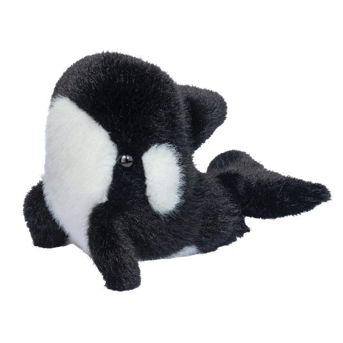 Adorable little orca plush