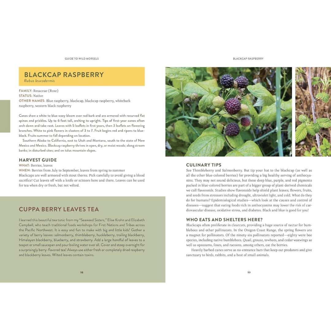 Sample pages featuring Blackcap Raspberry with recipes and tips on harvesting and use.
