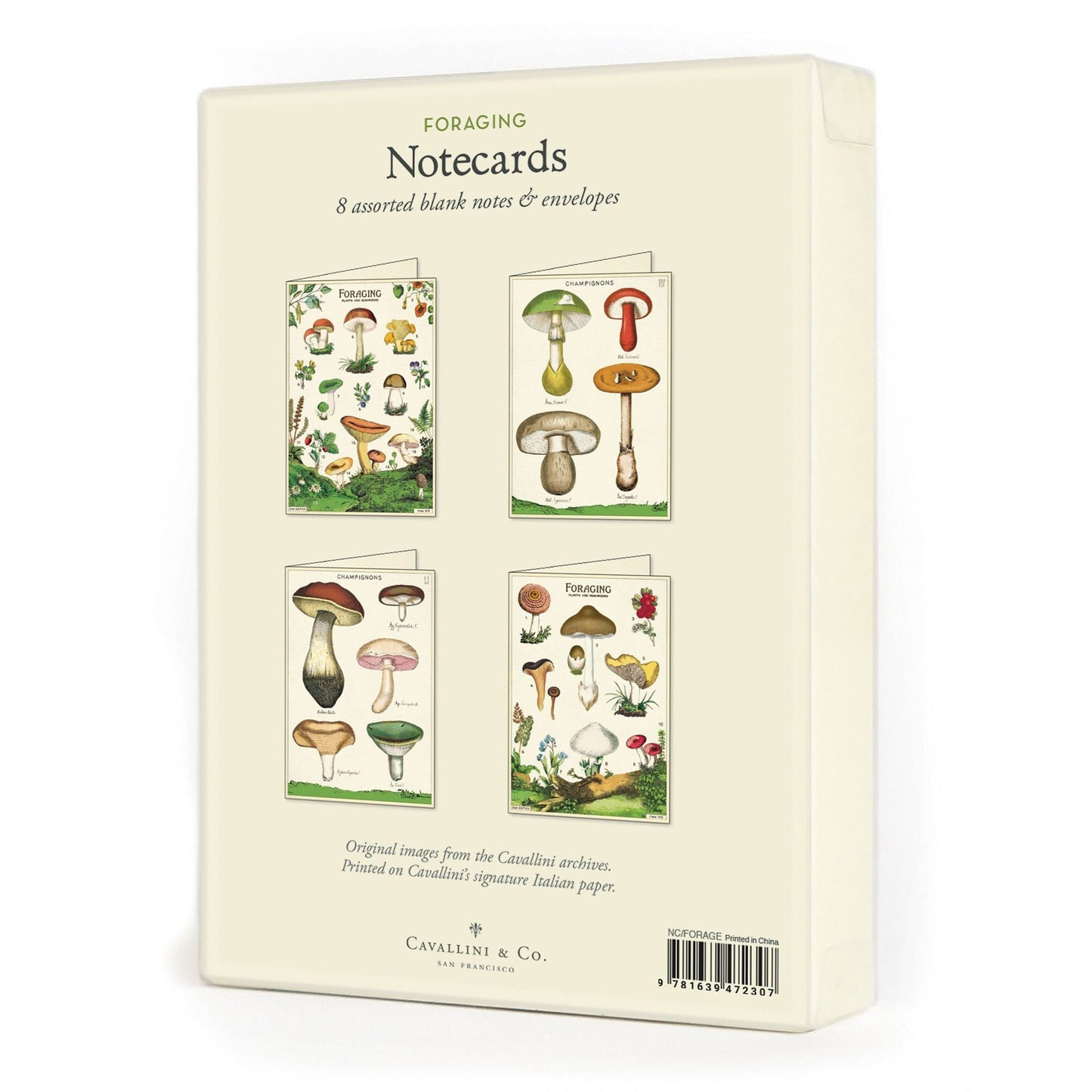 Cavallini & Co. Boxed Note Cards - Foraging