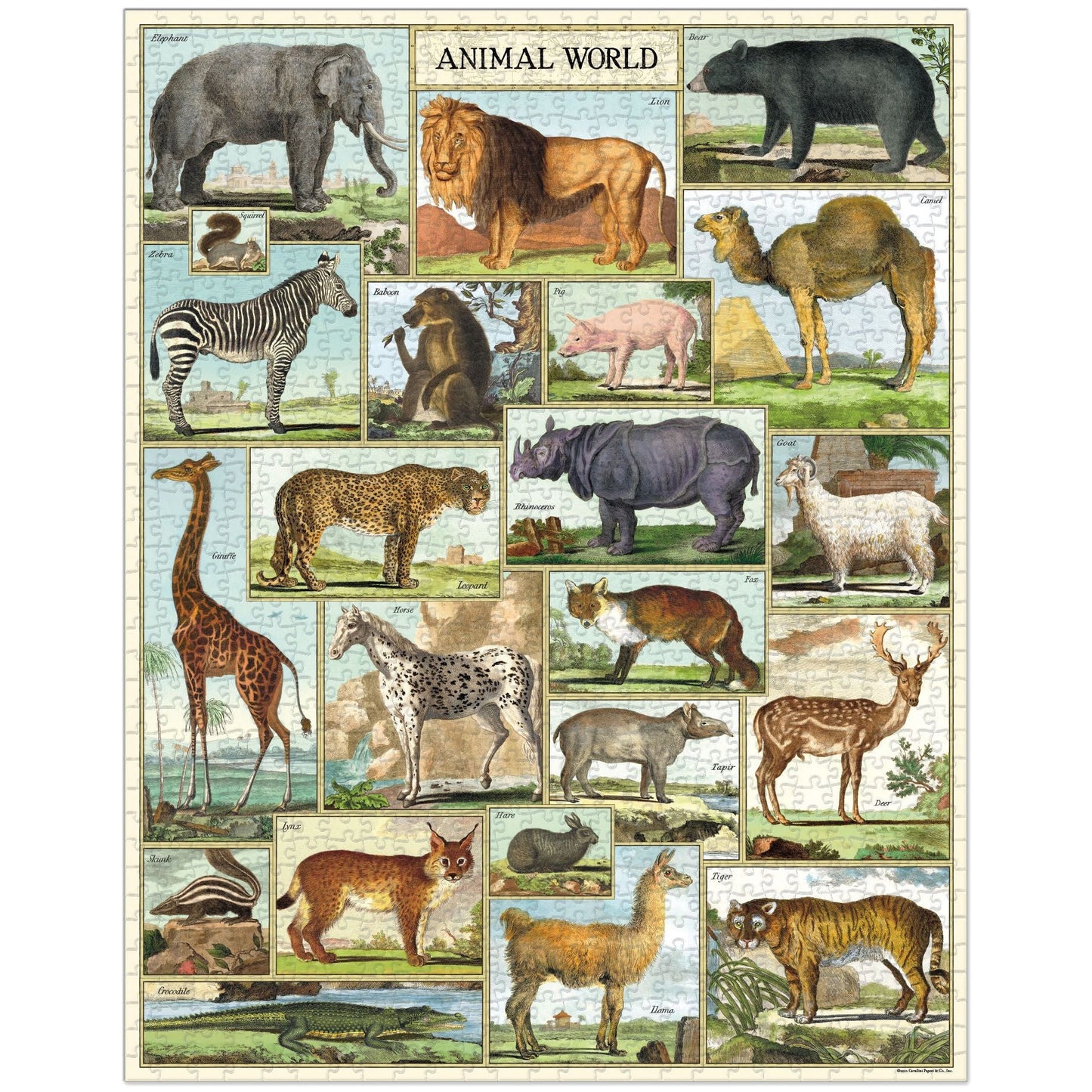 Cavallini & Co. 1000 Piece Puzzle - Animal World