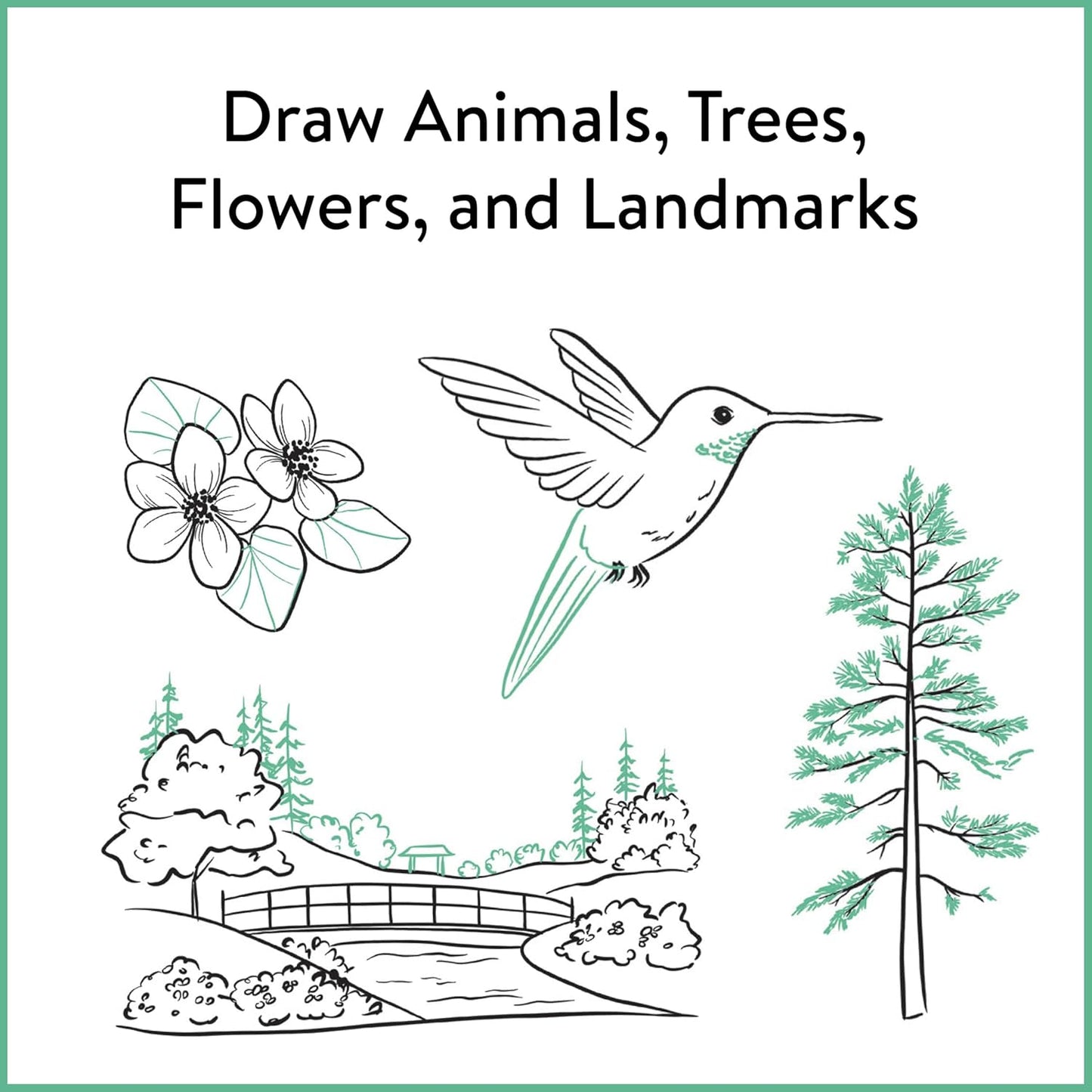 "Draw animals, trees, flowers, and landmarks" with drawings of flowers, a humming bird, a tree, and a landscape