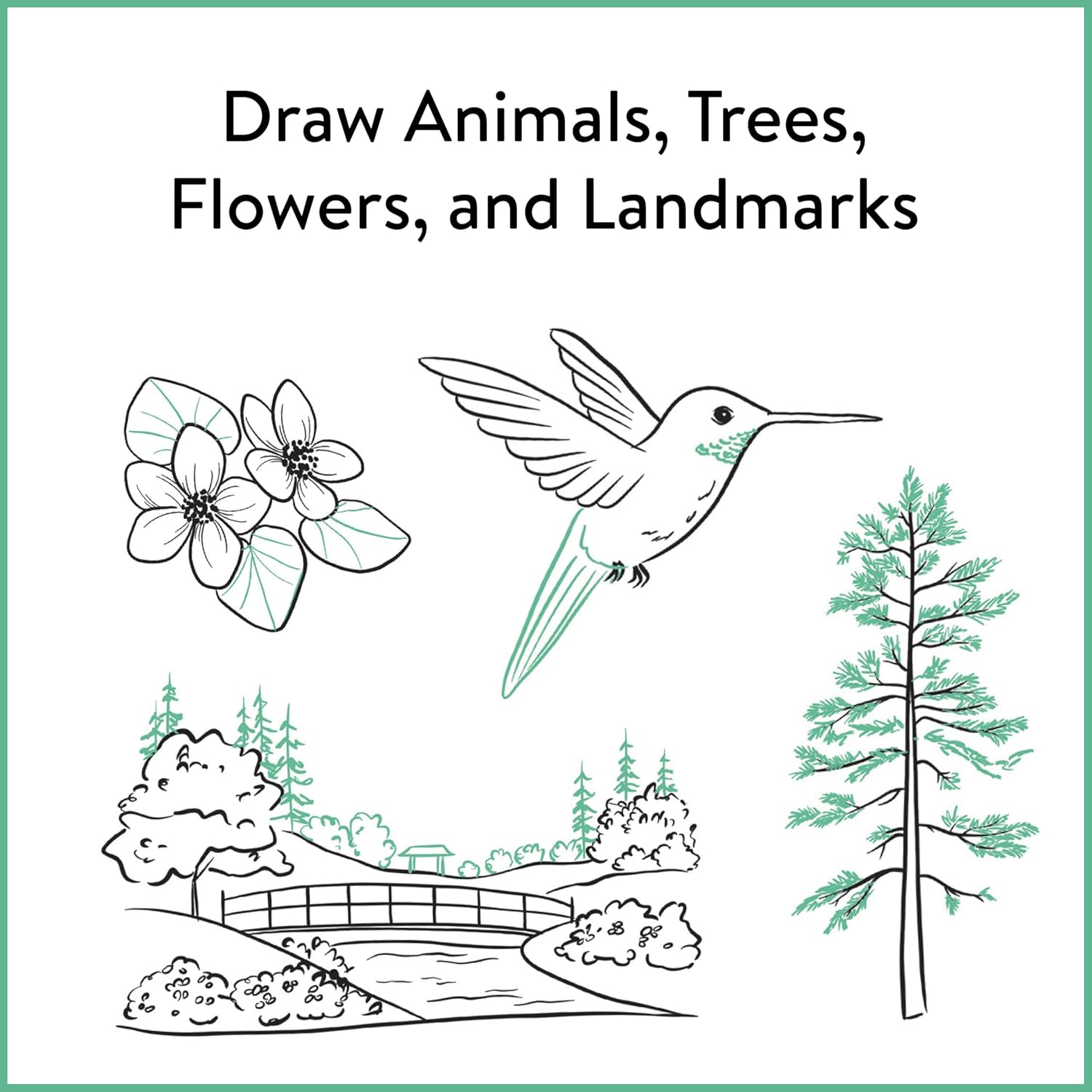 "Draw animals, trees, flowers, and landmarks" with drawings of flowers, a humming bird, a tree, and a landscape