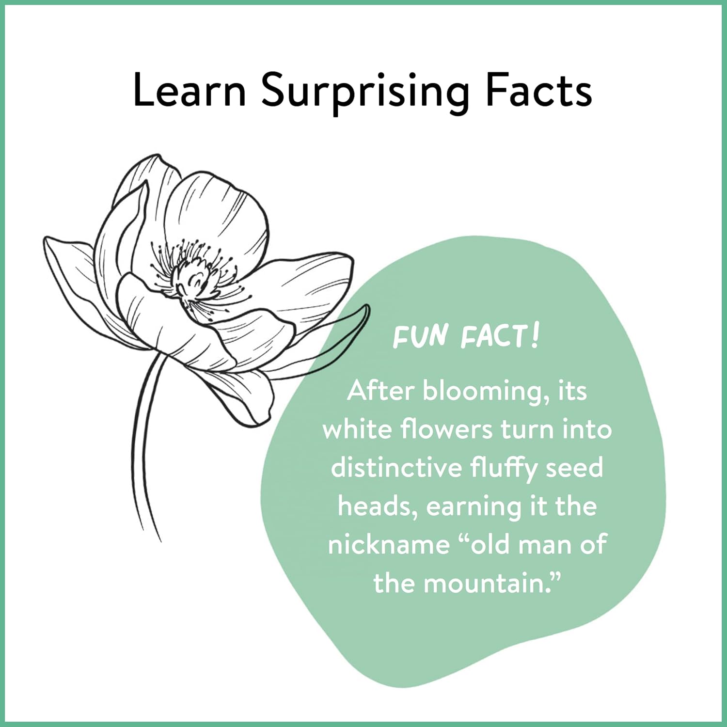 "Learn surprising facts" a flower with a fun fact!