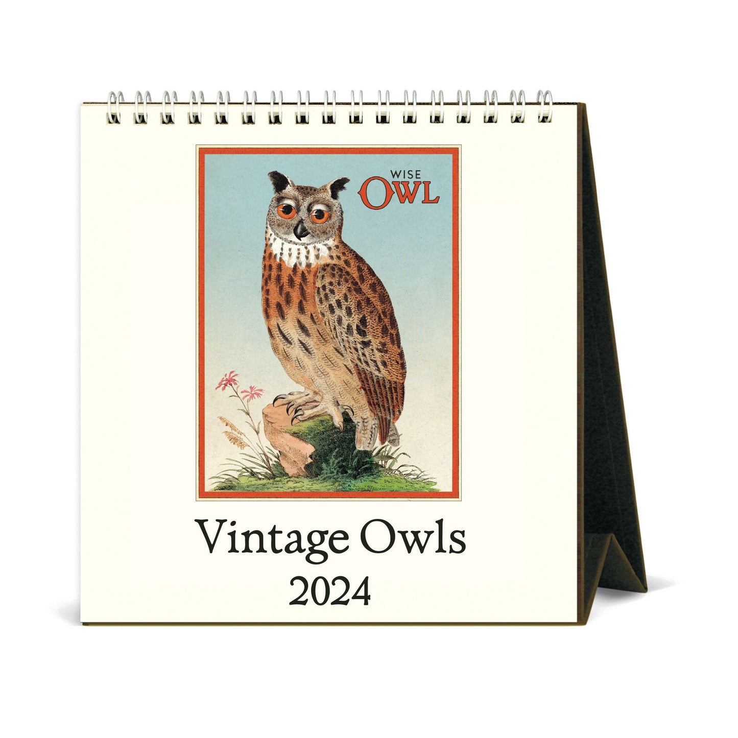 Cavallini & Co. 2024 Desk Calendar - Owls