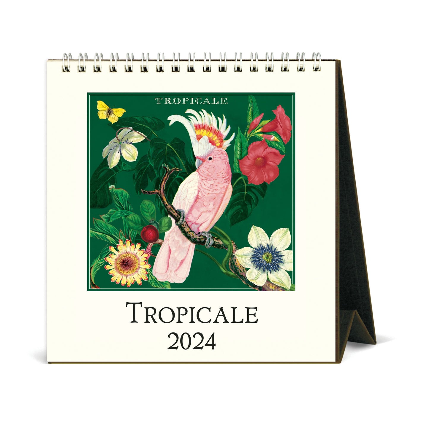Cavallini & Co. 2024 Desk Calendar - Tropicale