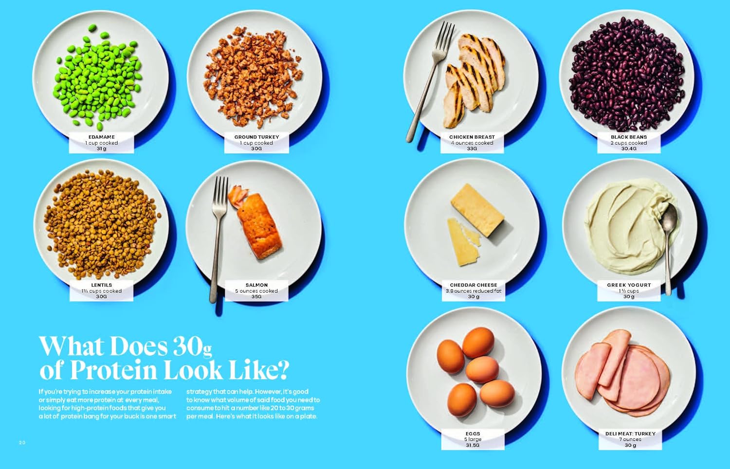Blue page with samples of what does 30g of protein look like in various protein sources