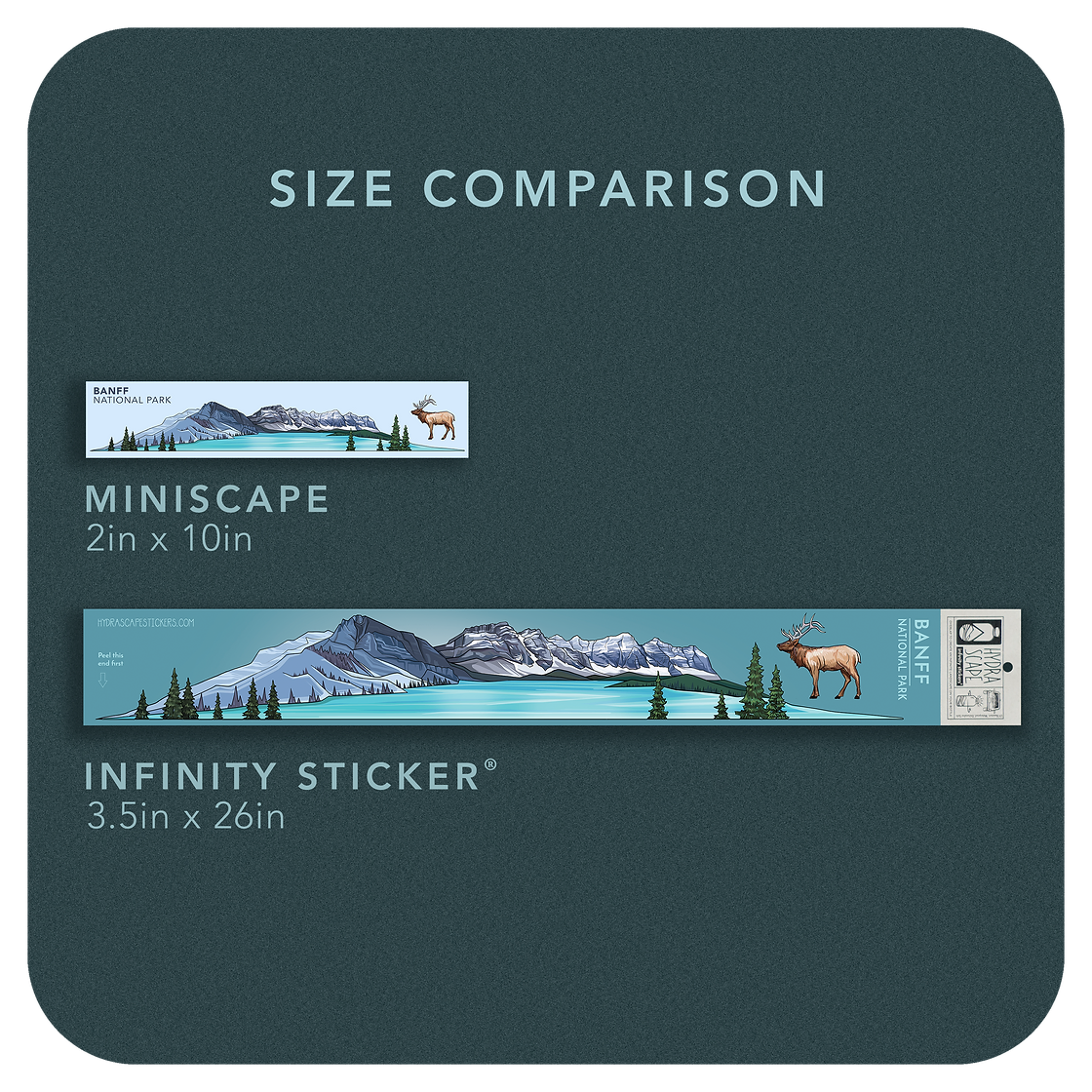 Hydrascape Miniscape Sticker - Spacescape