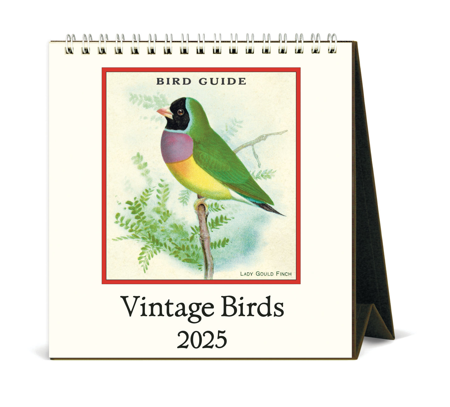 Cavallini & Co. 2025 Desk Calendar - Birds