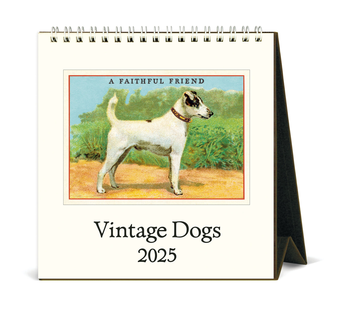 Cavallini & Co. 2025 Desk Calendar - Dogs