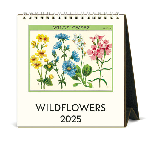 Cavallini & Co. 2025 Desk Calendar - Wildflowers