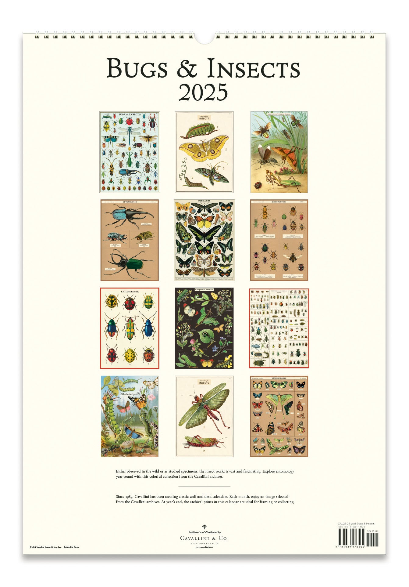 Cavallini & Co. 2025 Wall Calendar - Bugs & Insects