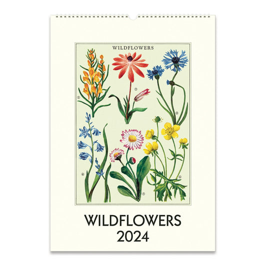 Cavallini & Co. 2024 Wall Calendar - Wildflowers