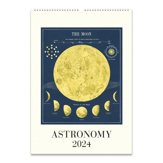 Cavallini & Co. 2024 Wall Calendar - Astronomy