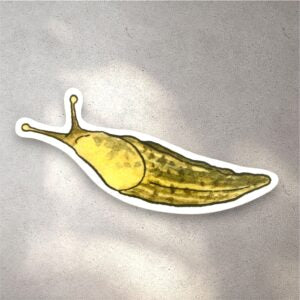 Yellow banana slug sticker with a white boarder
