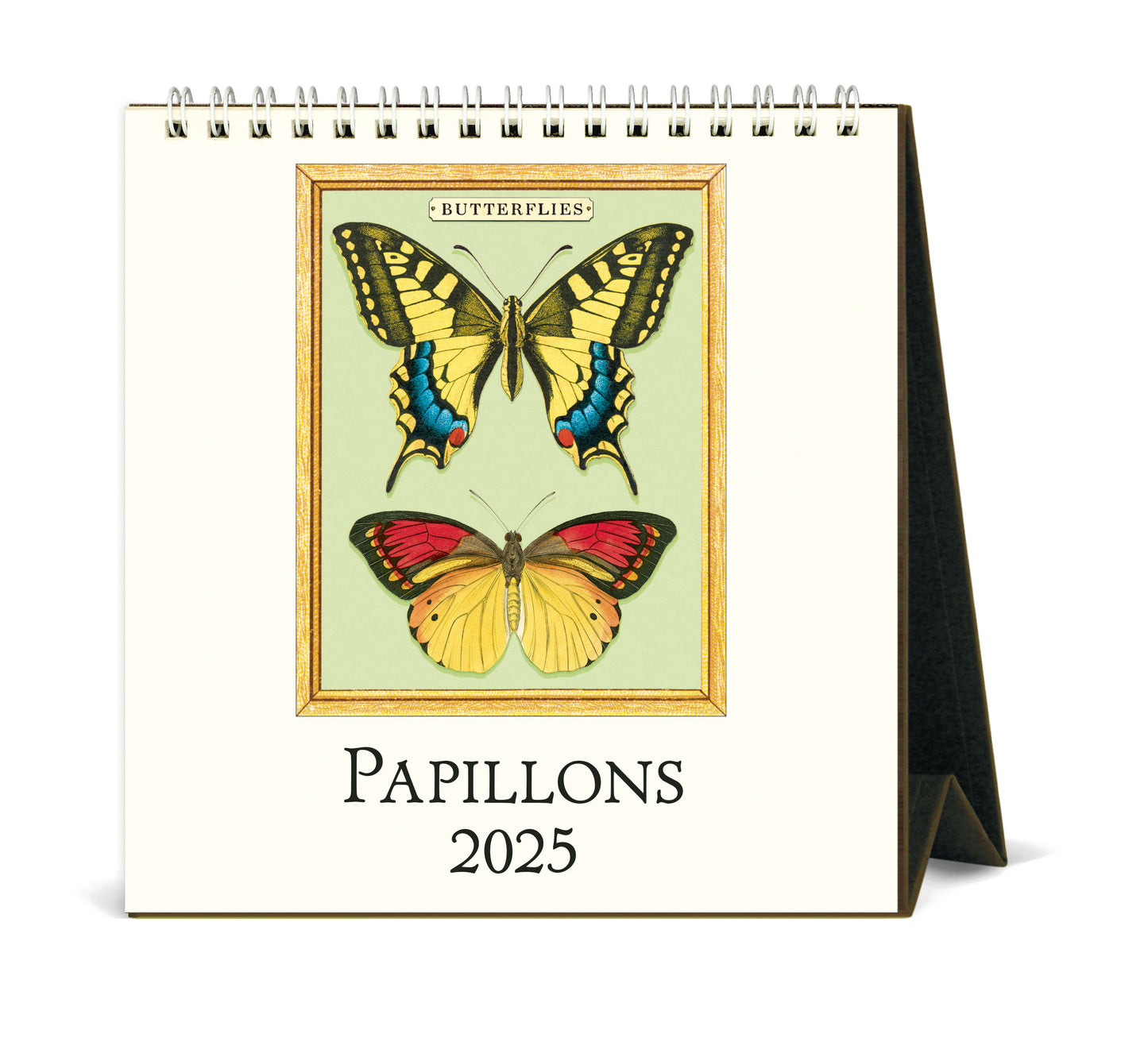 Cavallini & Co. 2025 Desk Calendar - Papillons