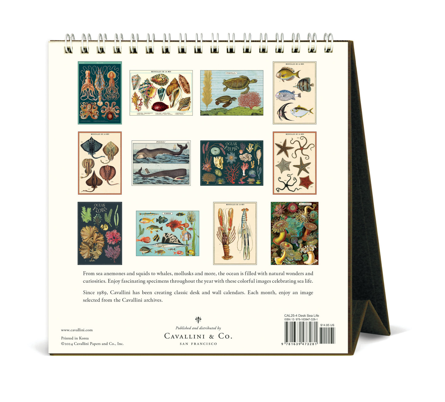 Cavallini & Co. 2025 Desk Calendar - Sea Life