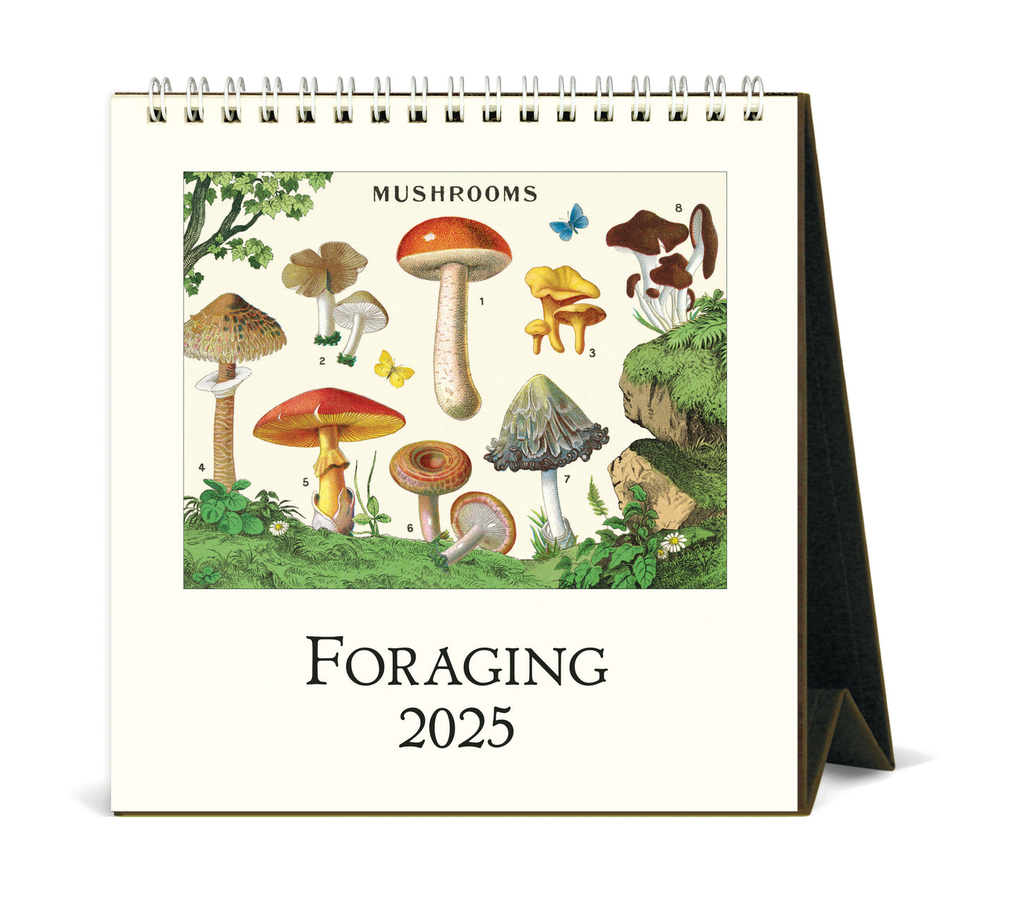 Cavallini & Co. 2025 Desk Calendar - Foraging