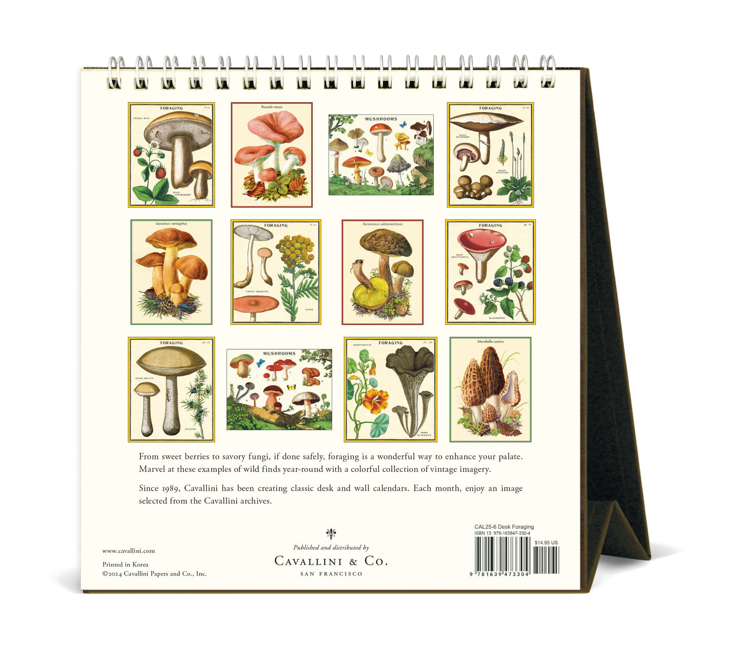 Cavallini & Co. 2025 Desk Calendar - Foraging