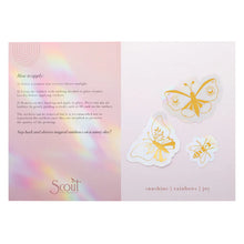 Load image into Gallery viewer, Suncatcher Sticker - Butterflies &amp; Moths
