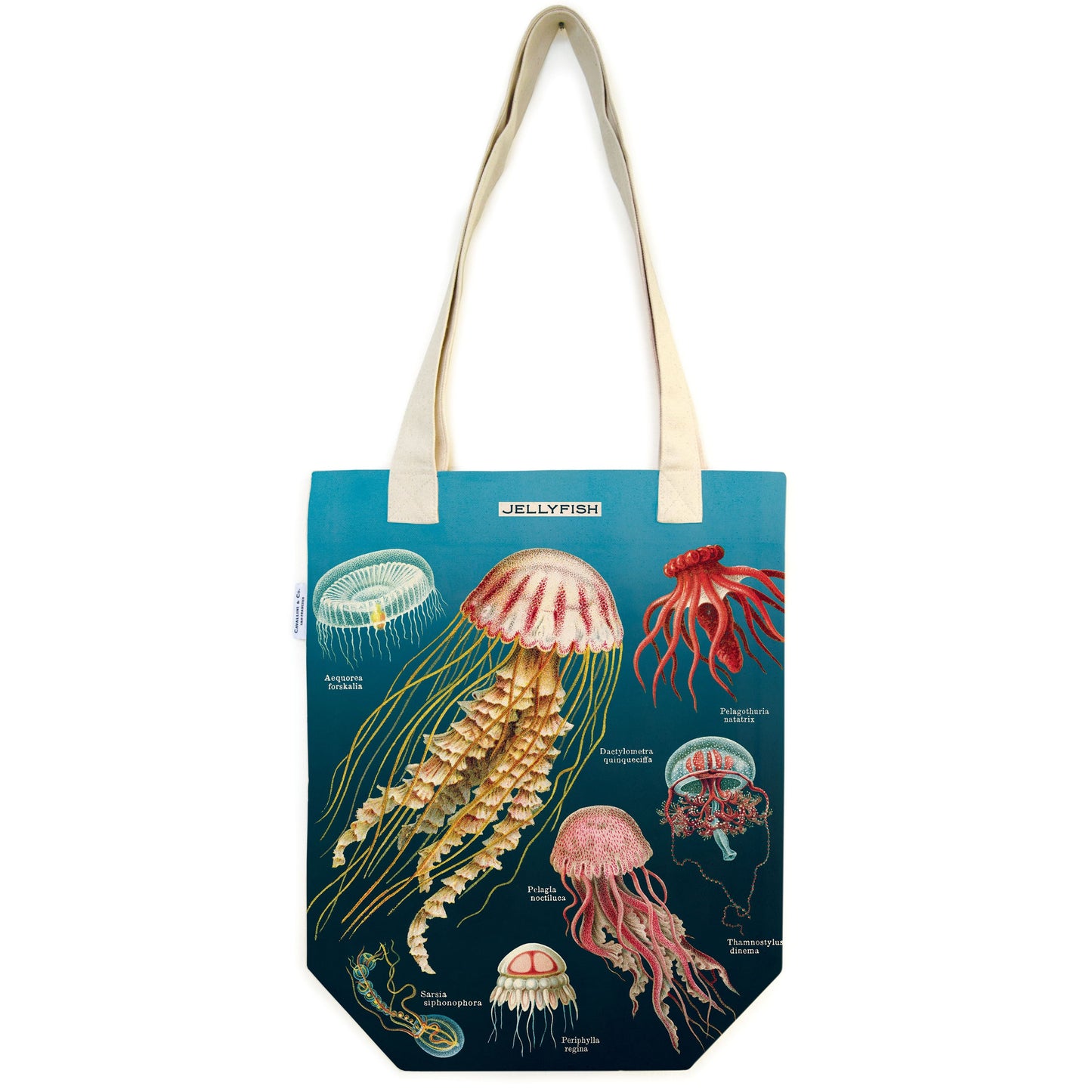 Cavallini & Co. Tote Bag - Jellyfish