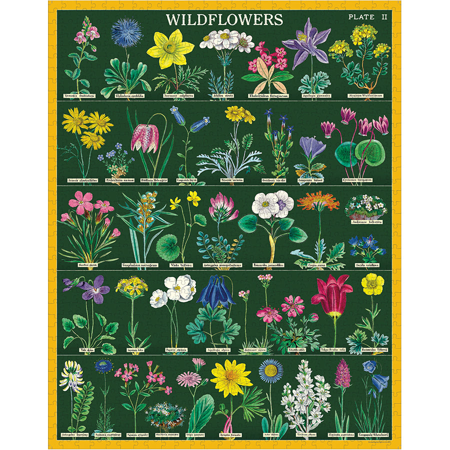 Cavallini & Co. 1000 Piece Puzzle - Wildflowers 2