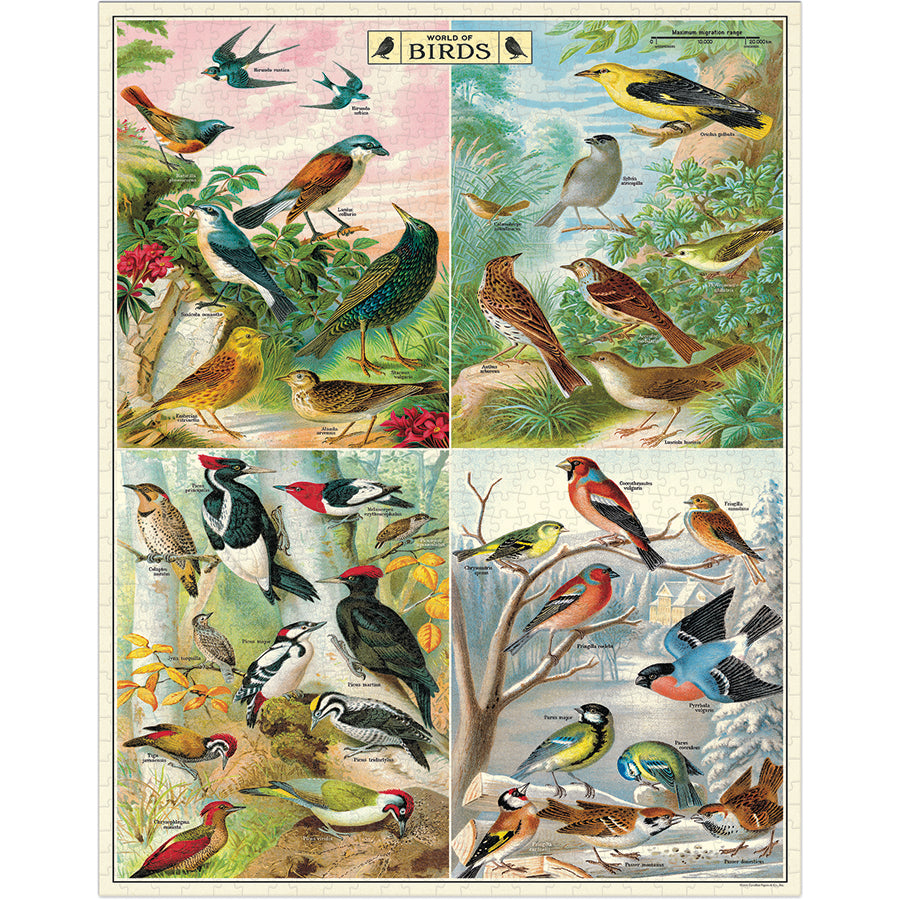 *Pre-Sale 2026* Cavallini & Co. 1000 Piece Puzzle - World of Birds