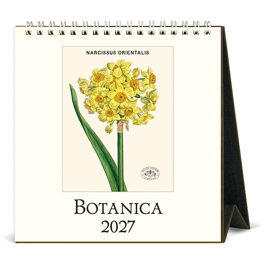 Cavallini & Co. 2027 Desk Calendar - Botanica