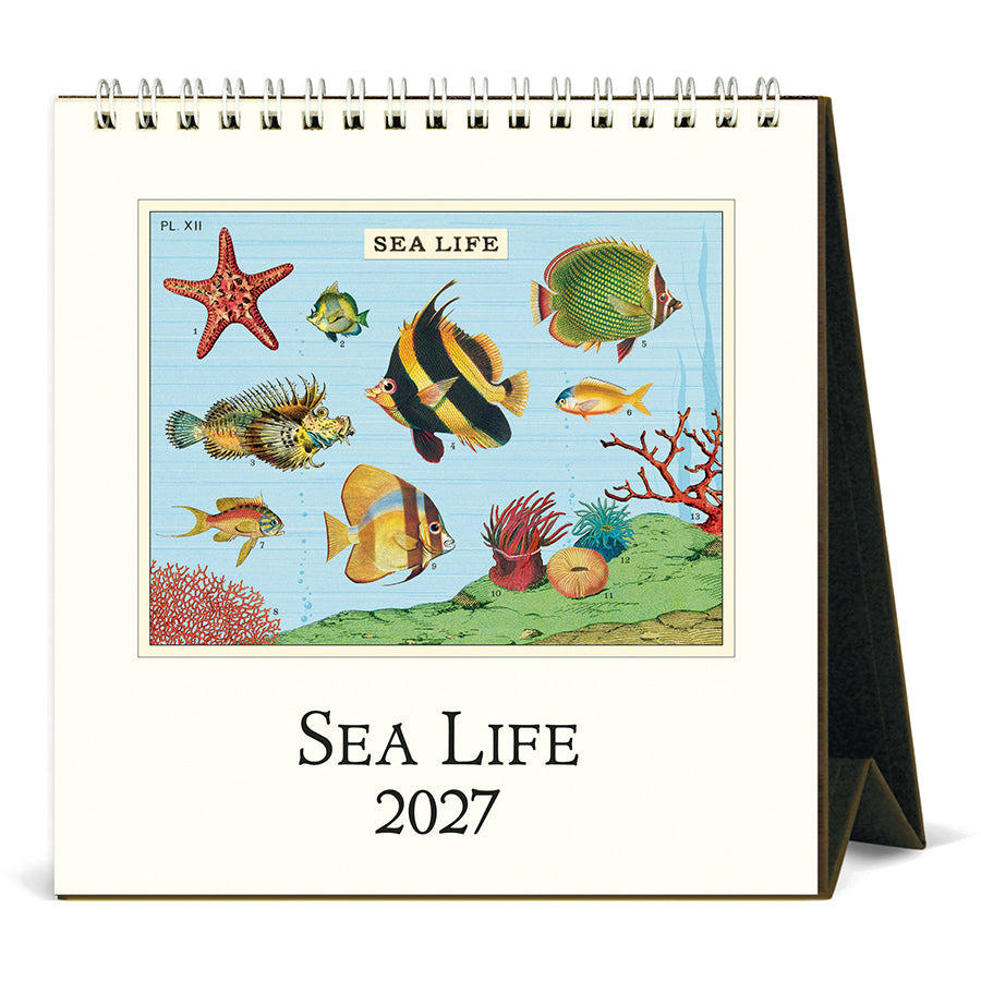 Cavallini & Co. 2027 Desk Calendar - Sea Life