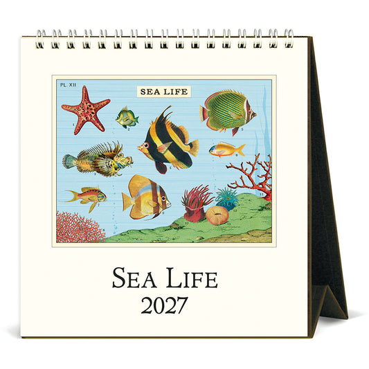 Cavallini & Co. 2027 Desk Calendar - Sea Life
