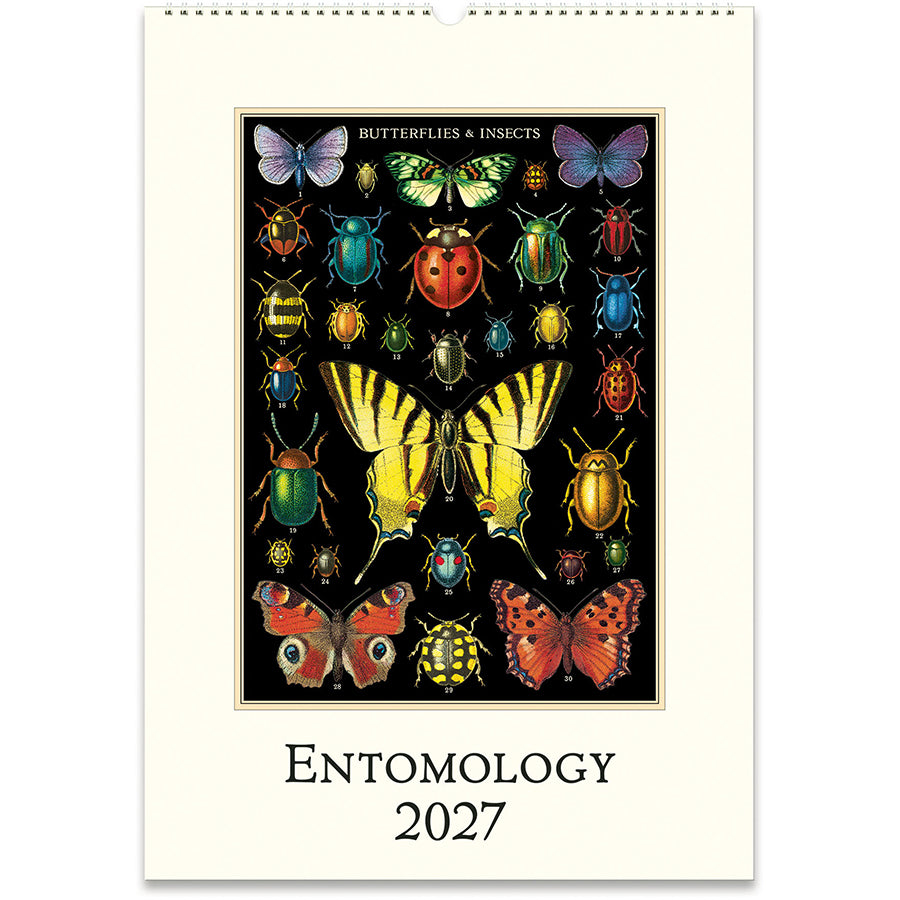 Cavallini & Co. 2027 Wall Calendar - Entomology