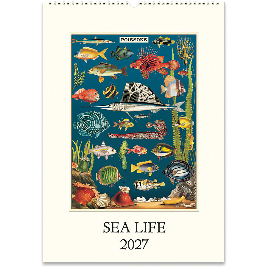 Cavallini & Co. 2027 Wall Calendar - Sea Life