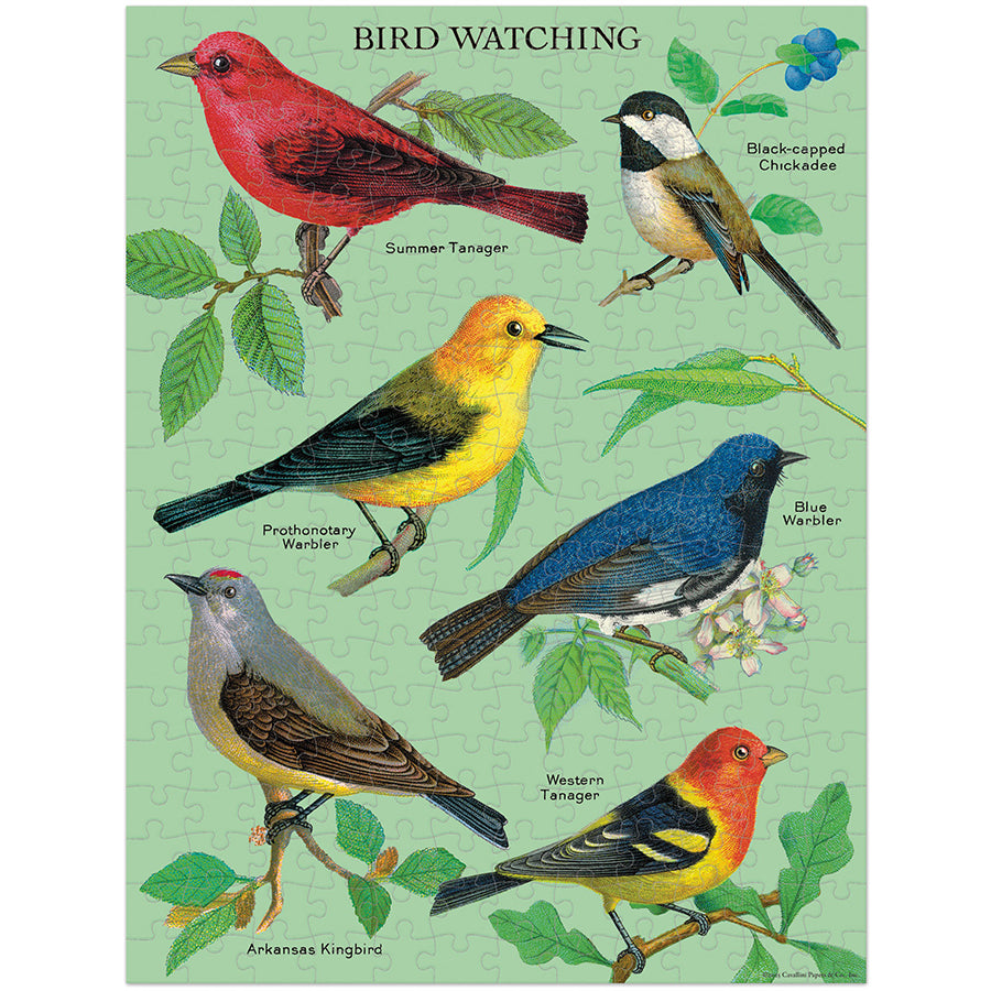 *Coming Soon Spring 2026* Cavallini & Co. 240 Piece Mini Puzzle - Bird Watching