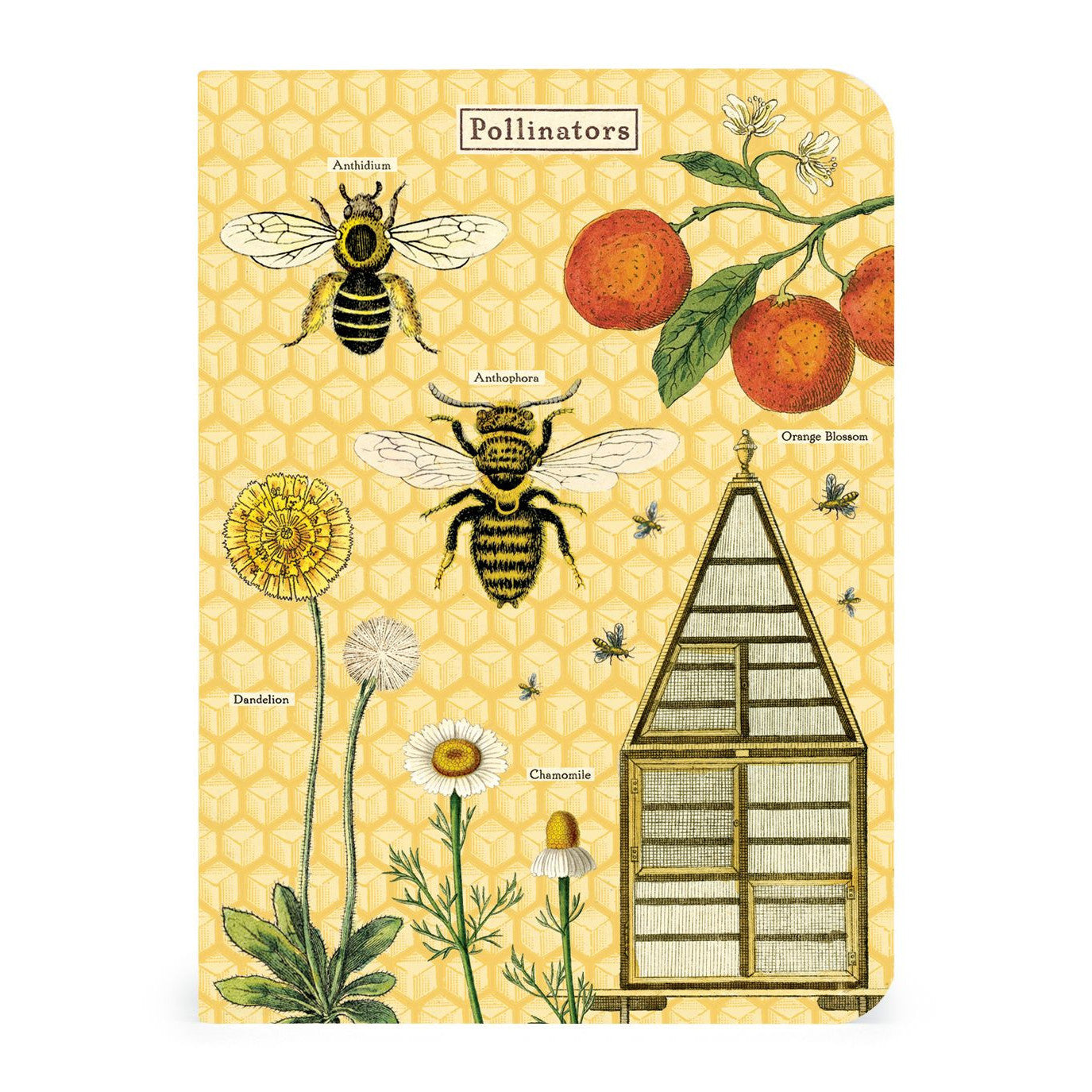 Cavallini & Co. 3 Mini Notebooks - Bees & Honey